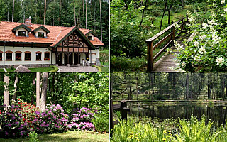 Arboretum w Kudypach otwarte dla zwiedzających. W leśnym ogrodzie widać już oznaki wiosny